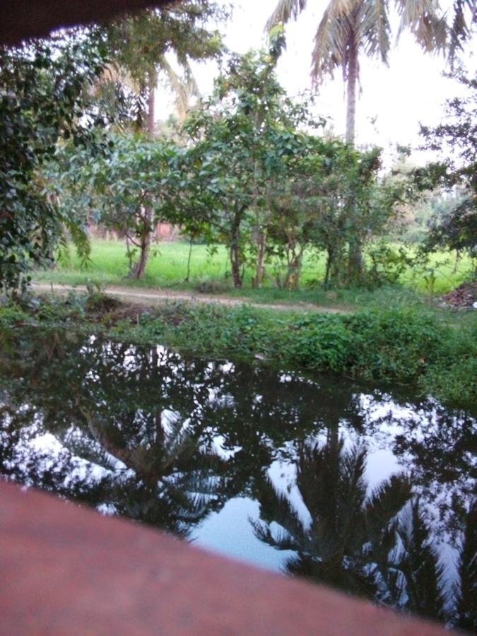 فيلا Waterway Garden بولاناروفاي المظهر الخارجي الصورة