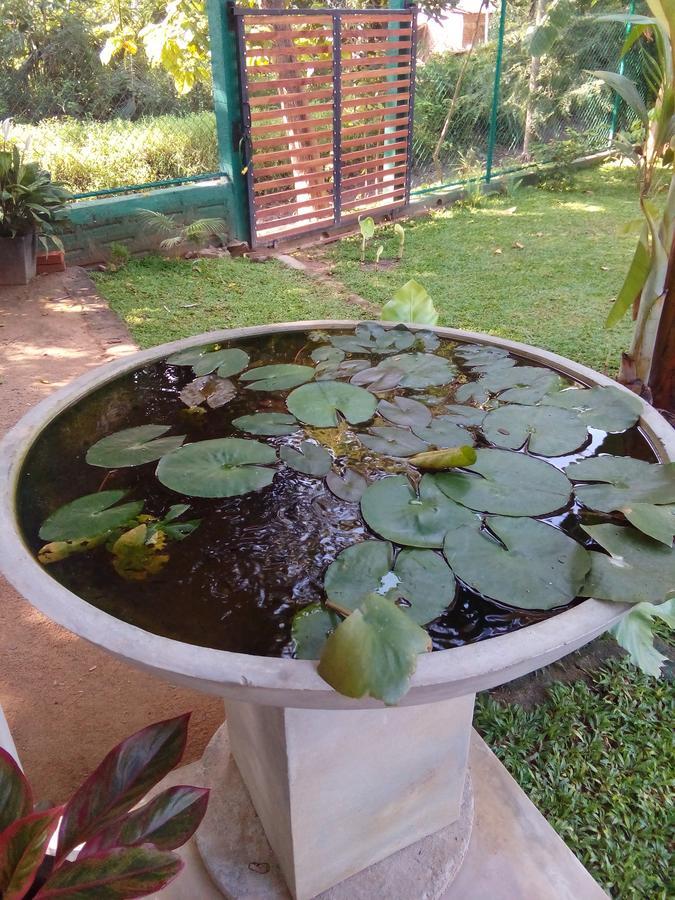فيلا Waterway Garden بولاناروفاي المظهر الخارجي الصورة